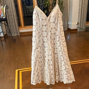 Eliza J Lace Midi Dress in Cream